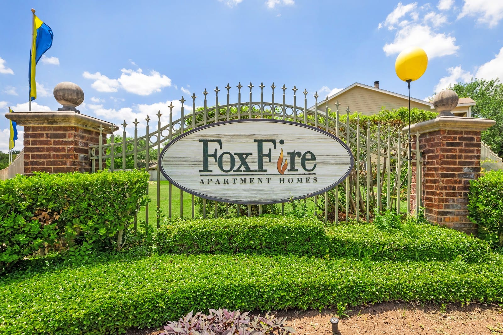 Foxfire, photo 2
