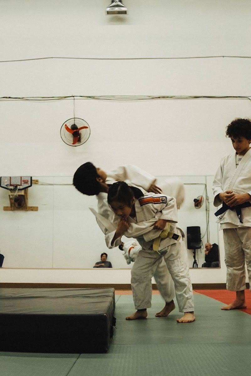 Hayabusakan Judo Club, photo 2