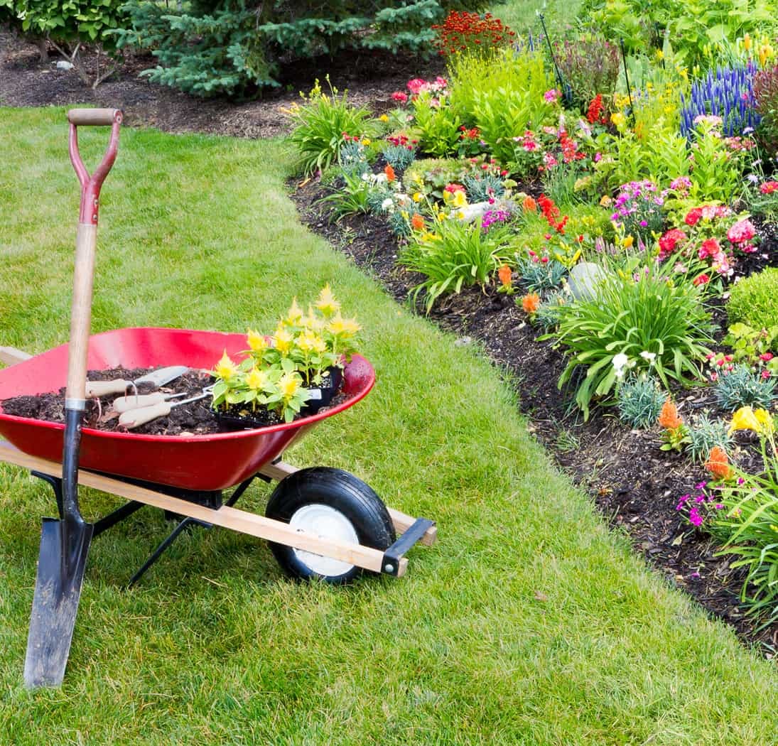 North Country Lawn and Maintenance