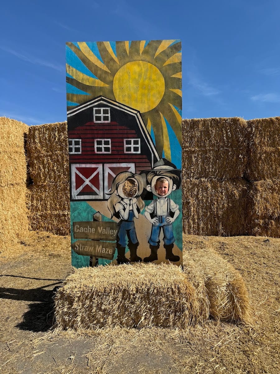 Cache Valley Straw Maze