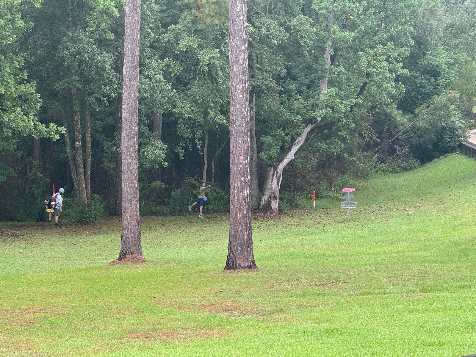 Disc Golf Course