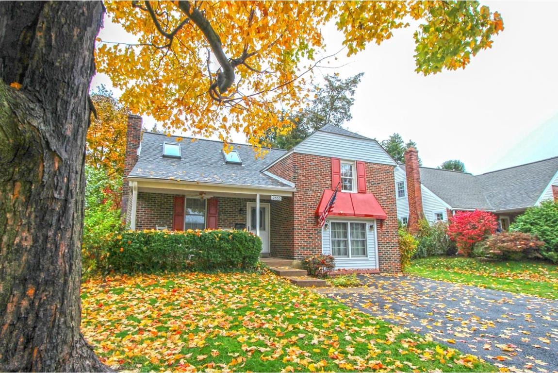 Lori DiFerdinando Realtor, photo 2