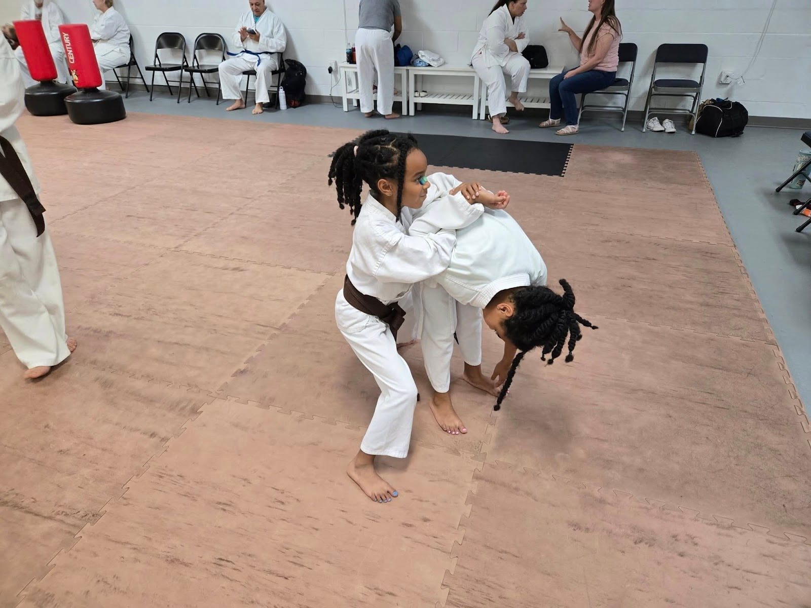 The Wado Ryu Dojo, photo 4