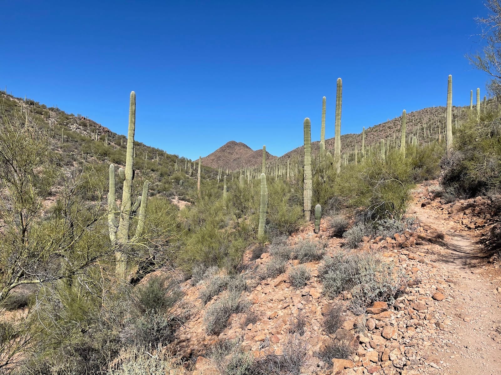 Bowen Trail Access