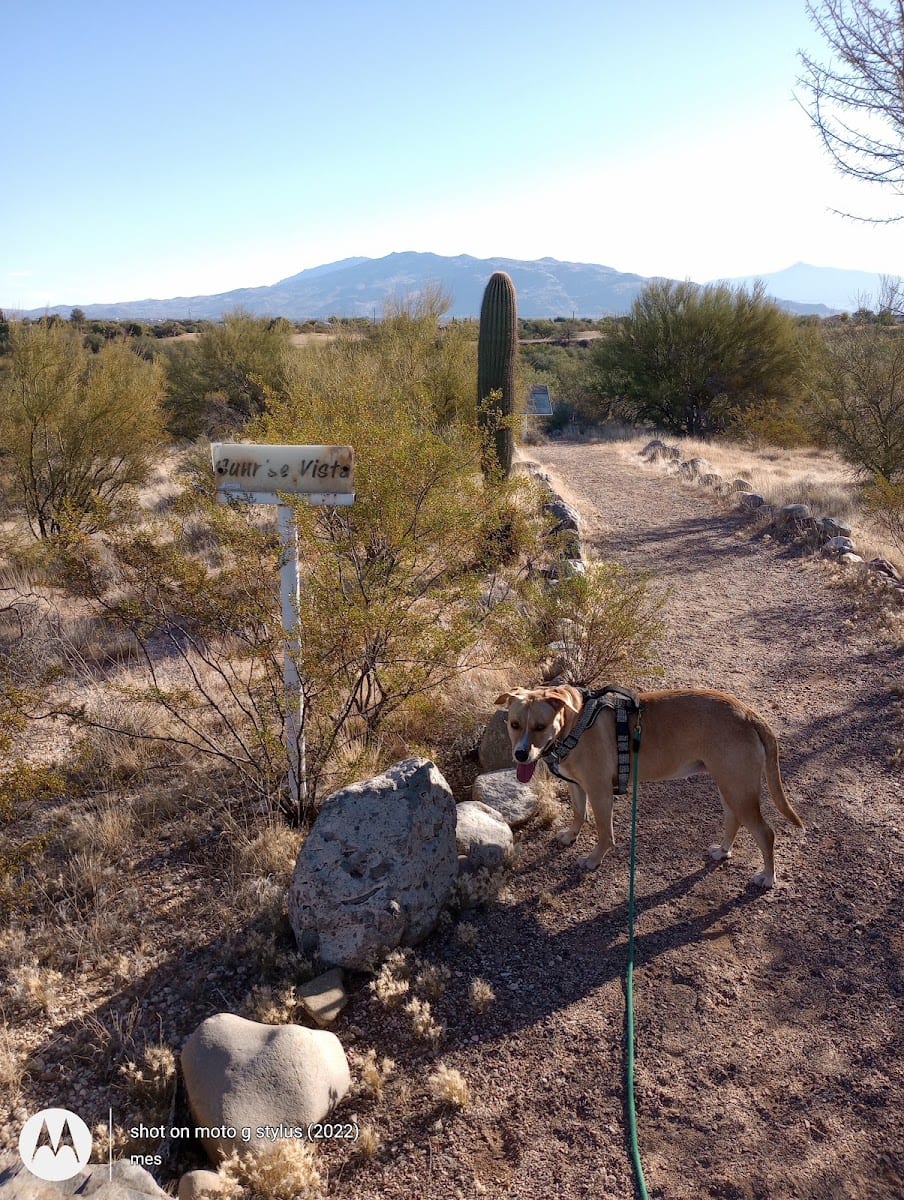 Lincoln Regional Park, photo 3
