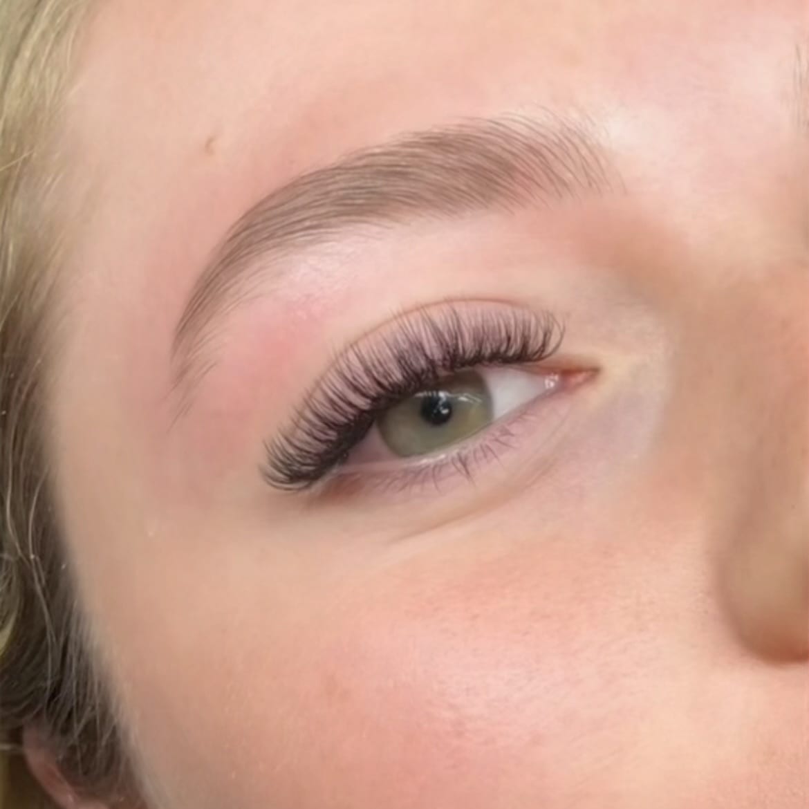 The Lash Edit Tampa, photo 3
