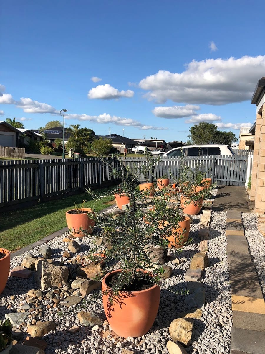Backyard Farms Mackay, photo 2