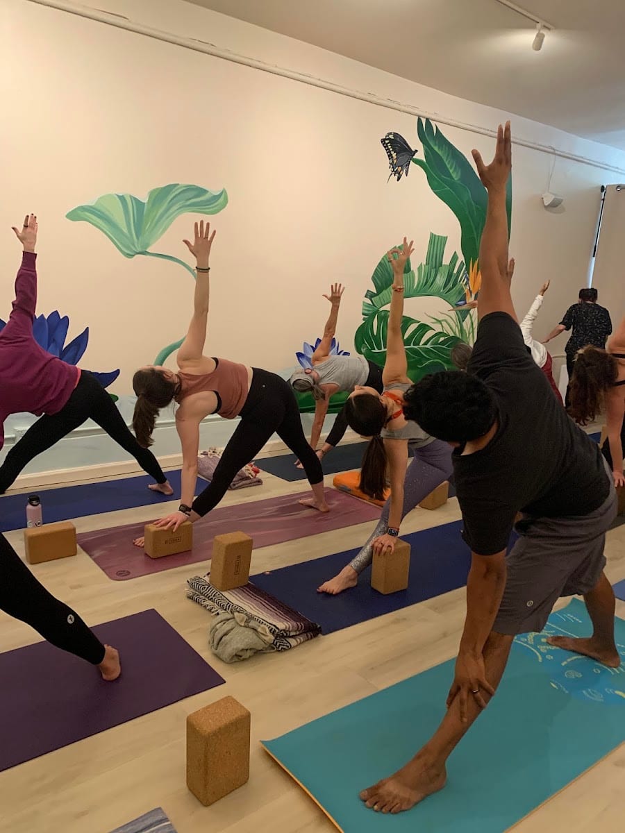 Lotusland Yoga SF