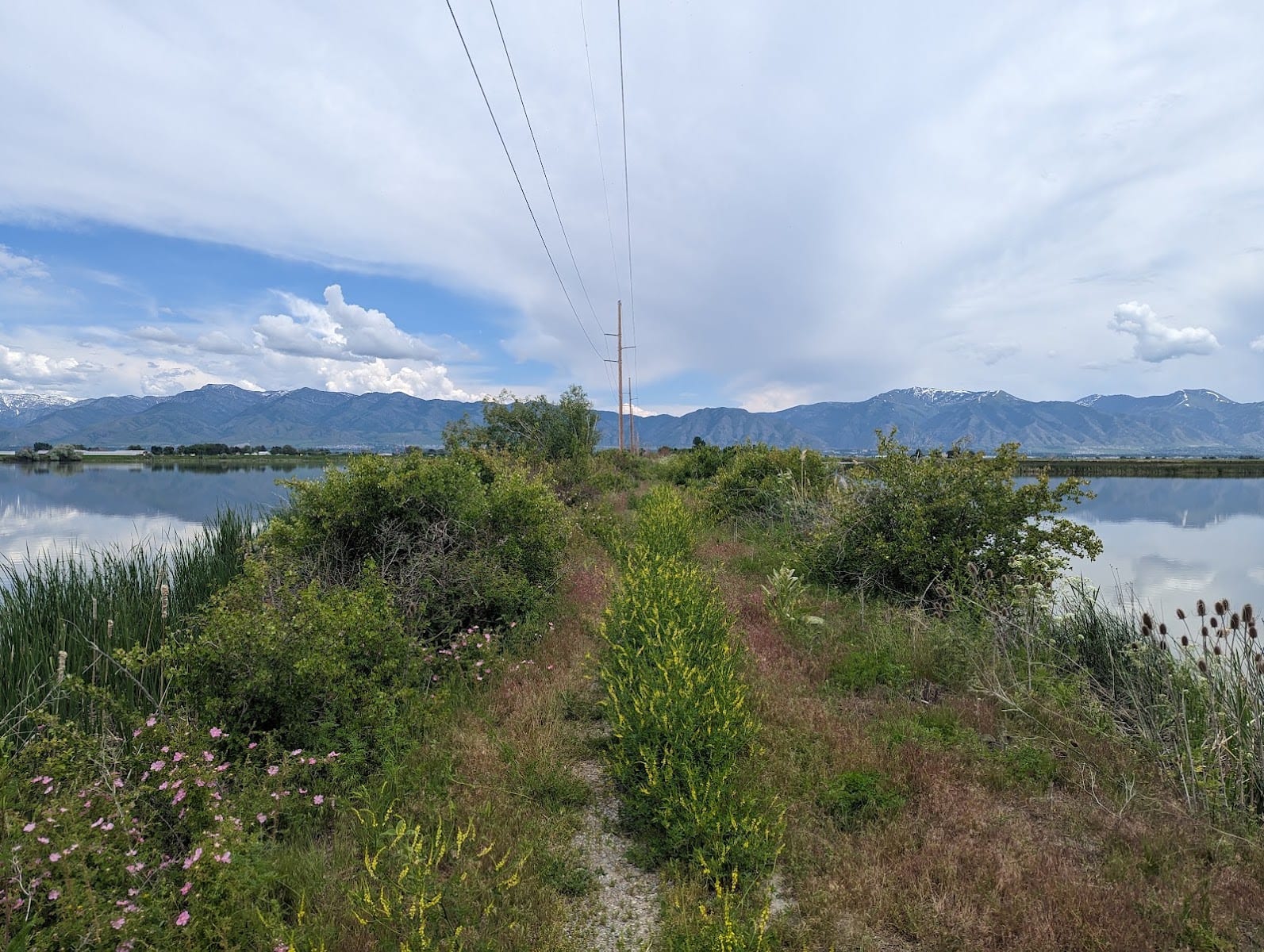 Benson Railroad Bridge Trailhead, photo 2