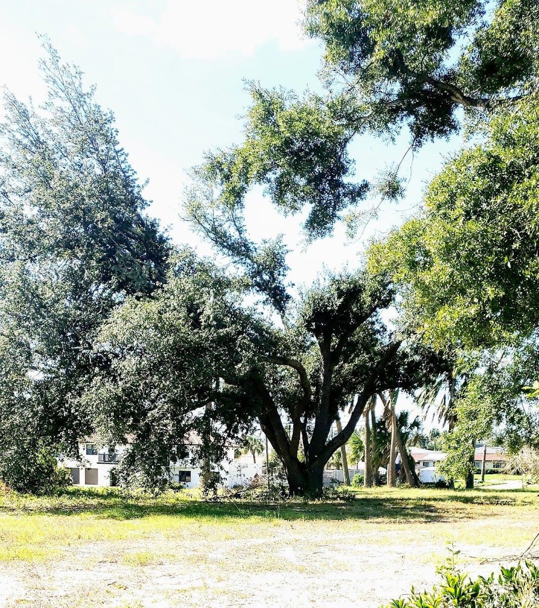 Bay Memorial Park