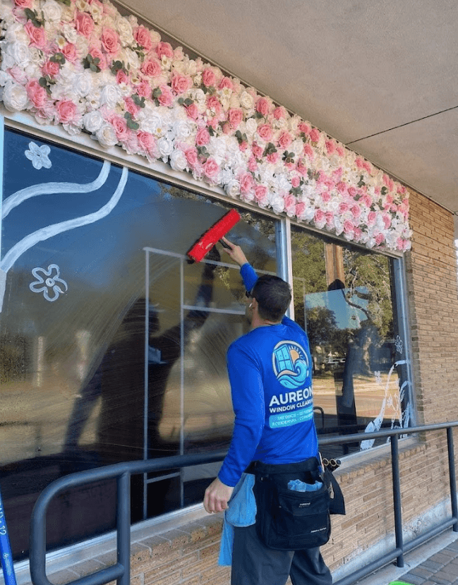 Aureon Window Cleaning