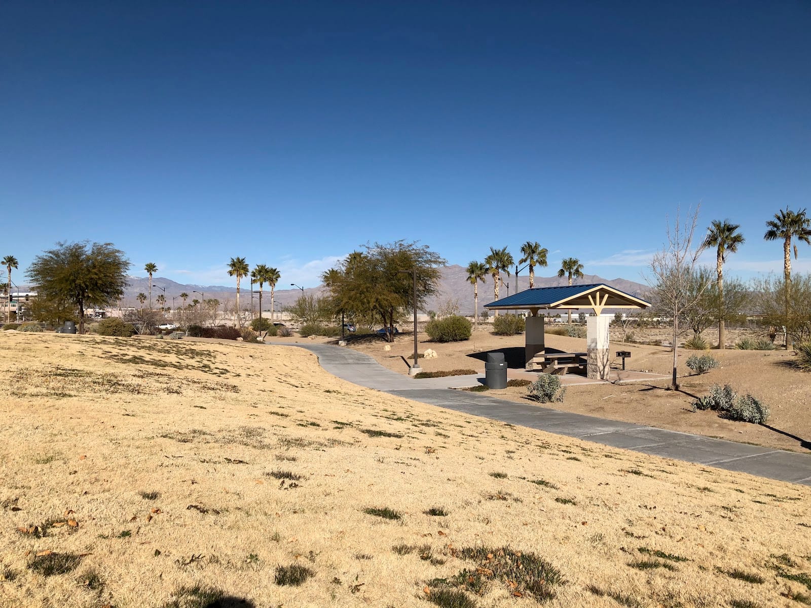 Raptor Play Park