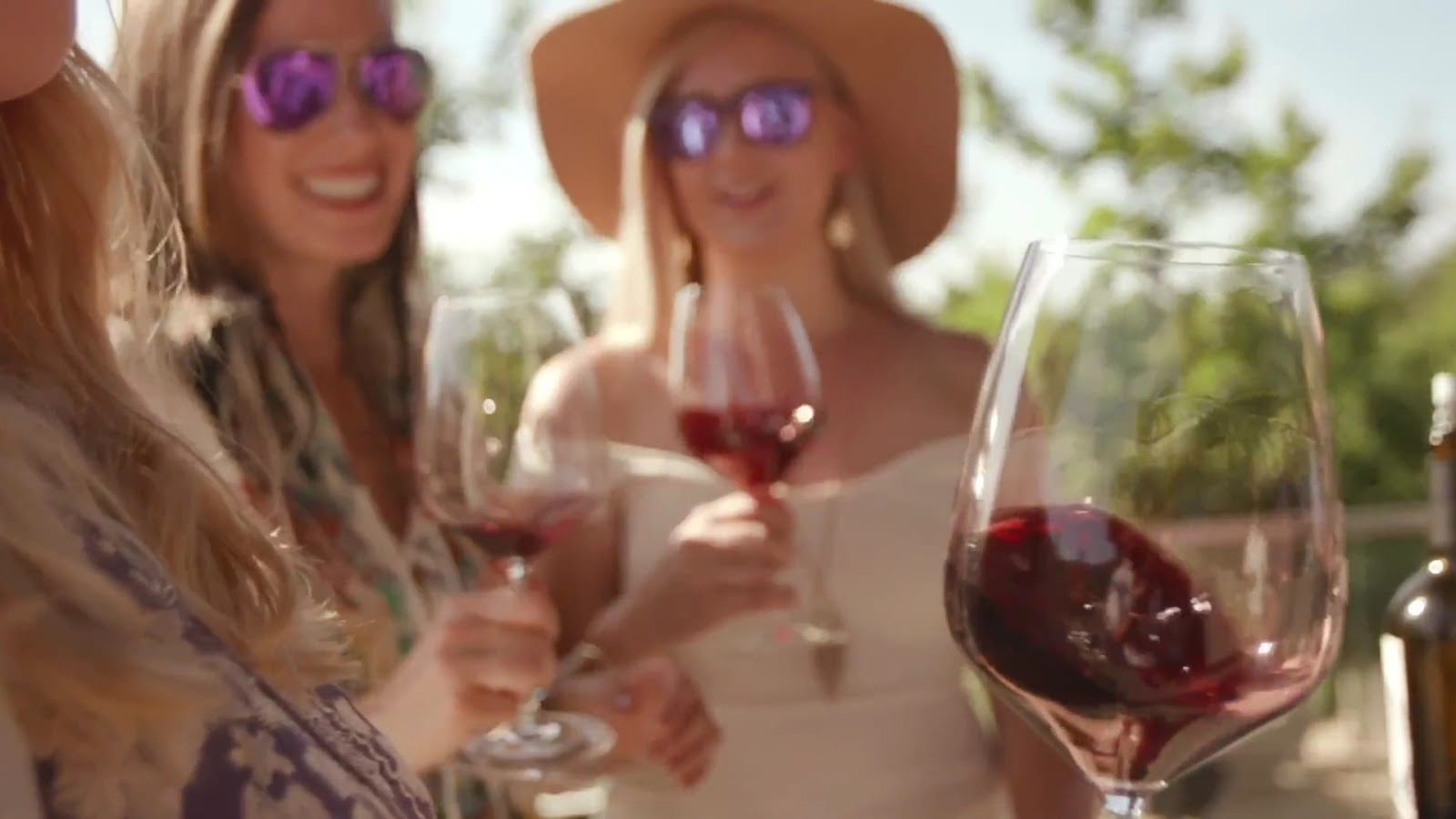 HALL Wines St. Helena, photo 3