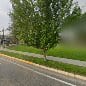 Yund Park