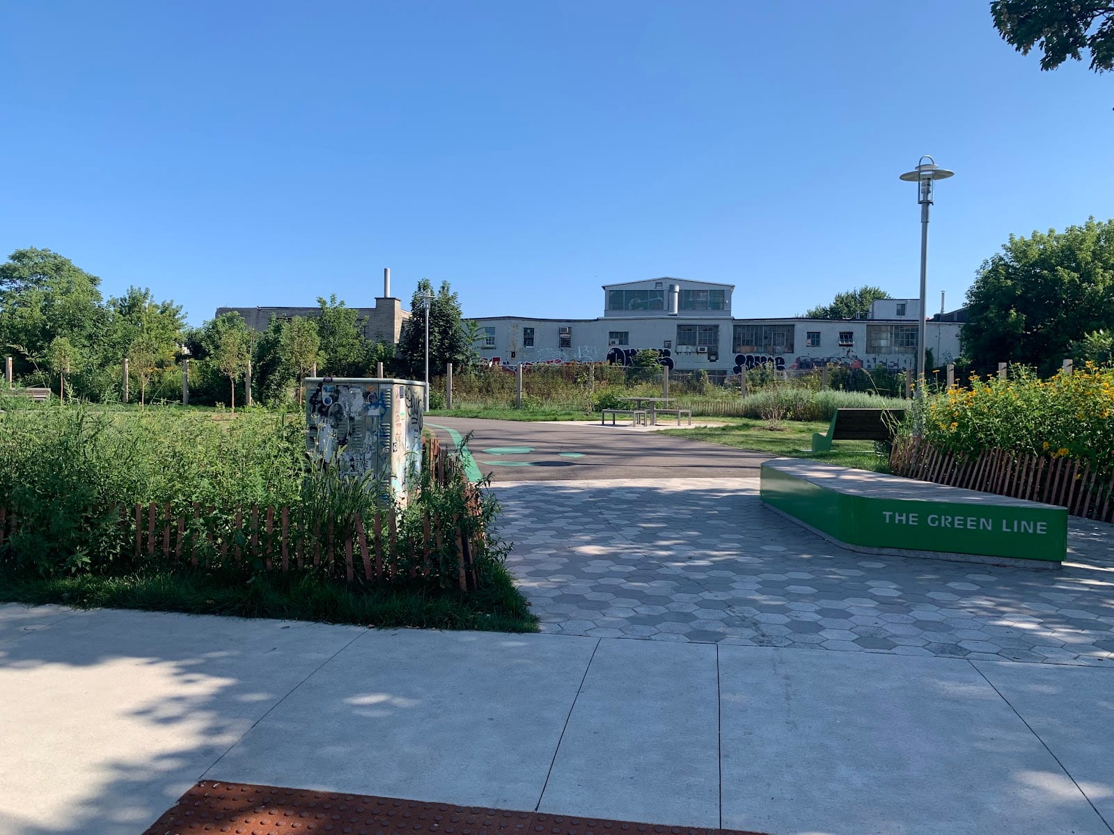 Geary Avenue Dogs Off-Leash Area, photo 3