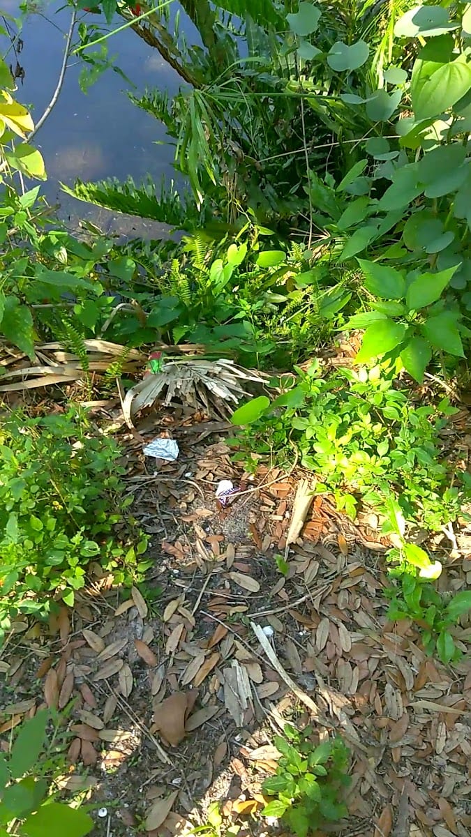 Mann-Wagnon Memorial Park, photo 3