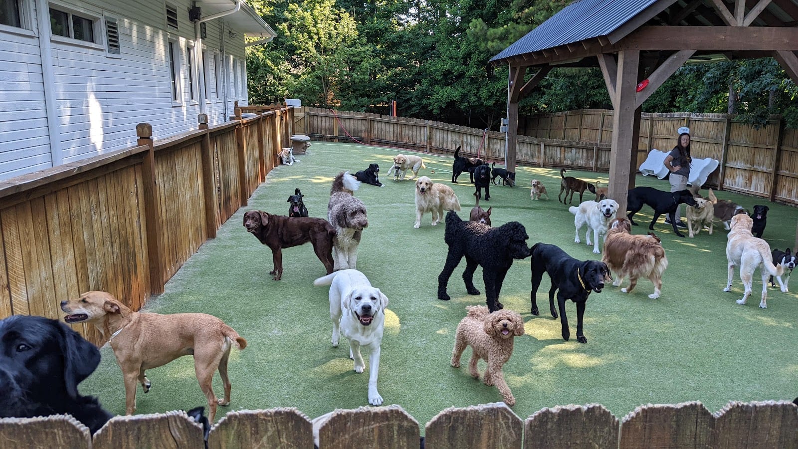 Jones Bridge Animal Hospital