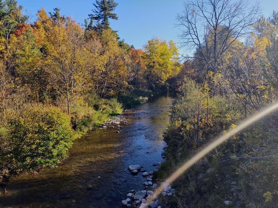 Black Creek Parkland
