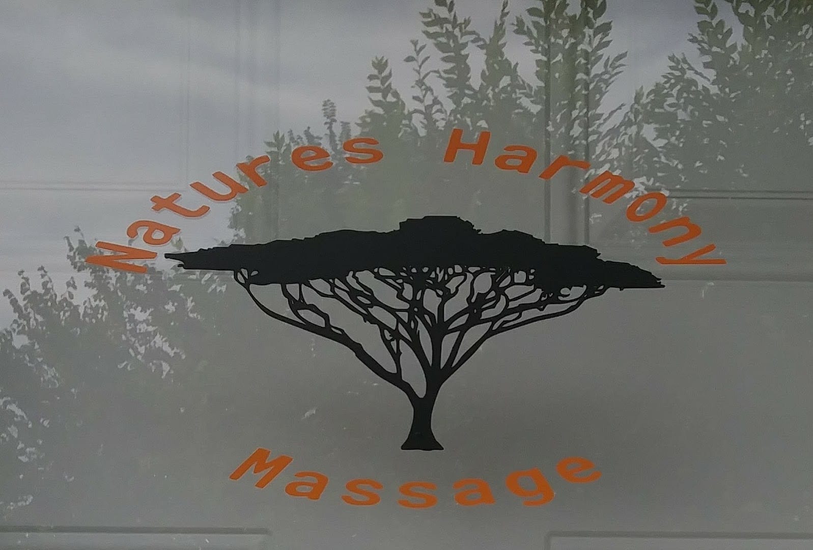 Nature's Harmony Massage, photo 4