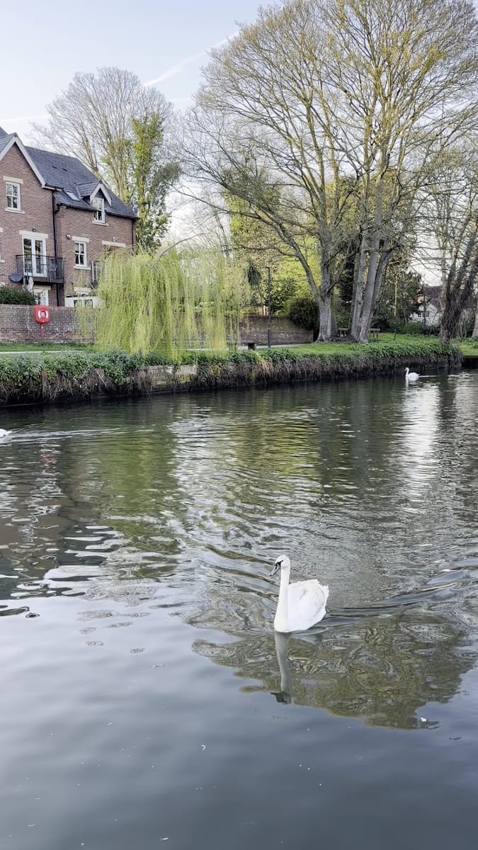 River Wensum, Norwich, photo 3