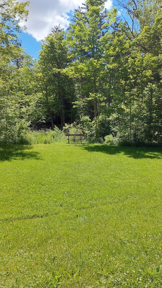 Humber Sheppard Park, photo 2