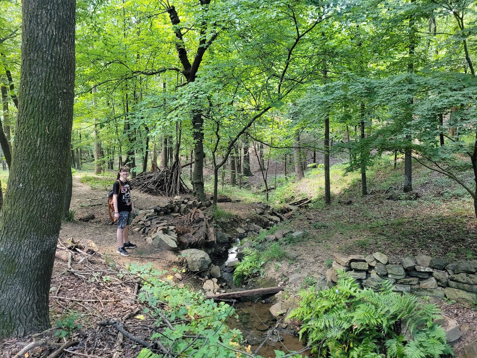Allsopp Park, photo 2