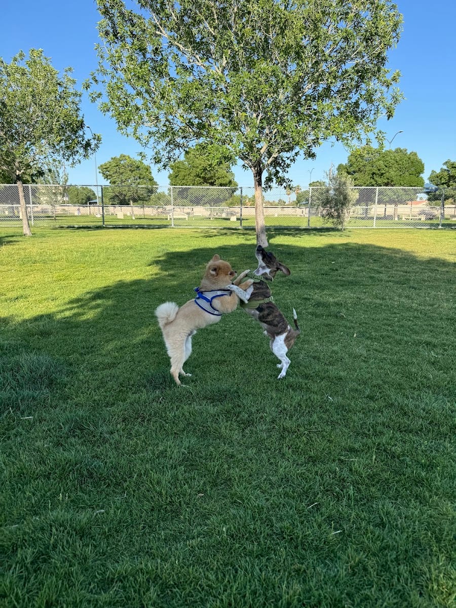Barkin Basin Park