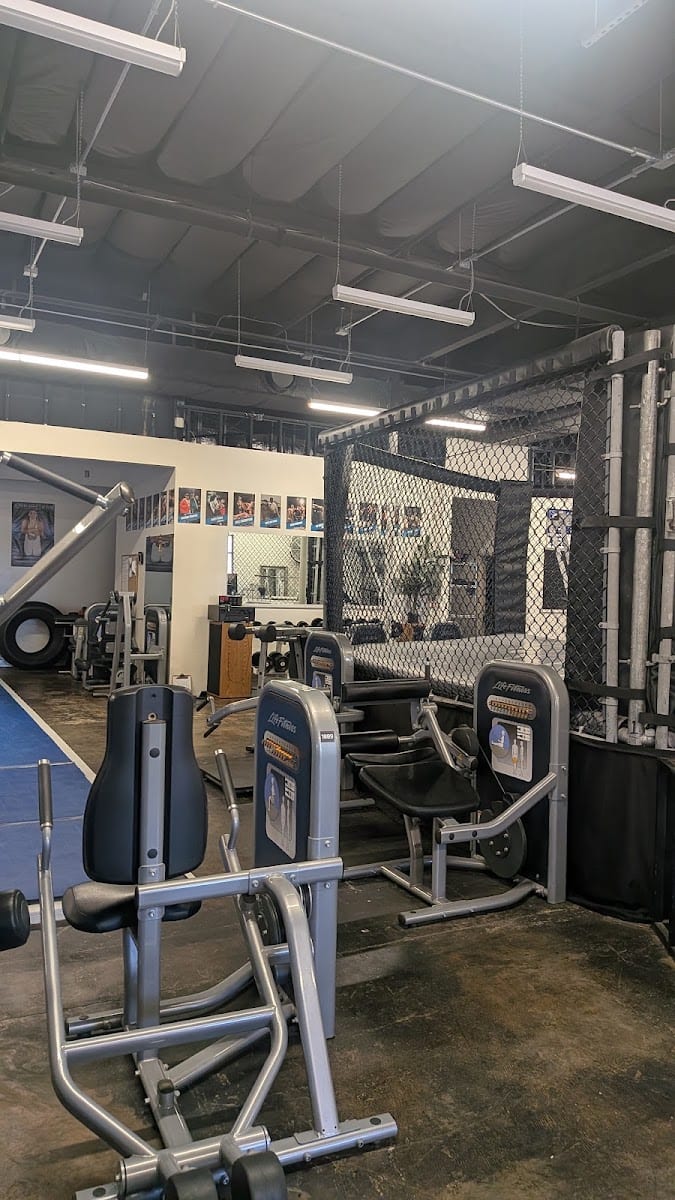 Apex Mixed Martial Arts, photo 4