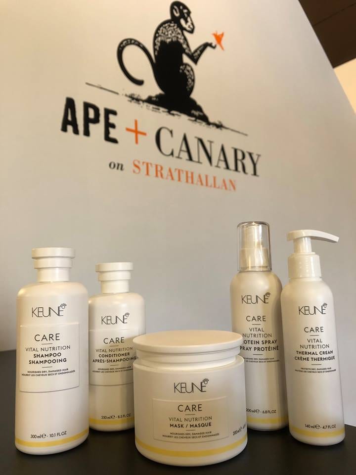 Ape + Canary, photo 4