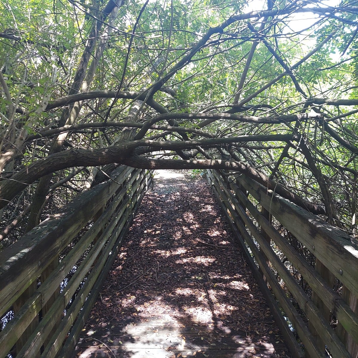 McKay Bay Nature Park, photo 3