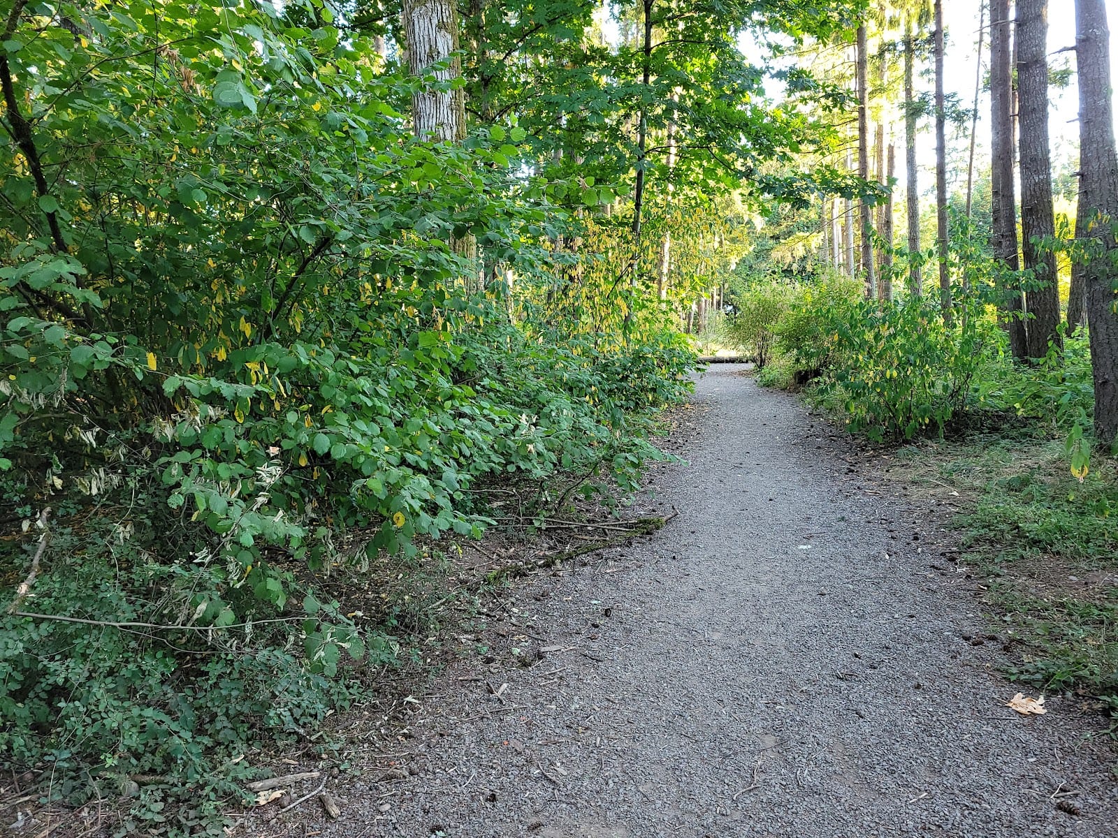 Evergreen Park