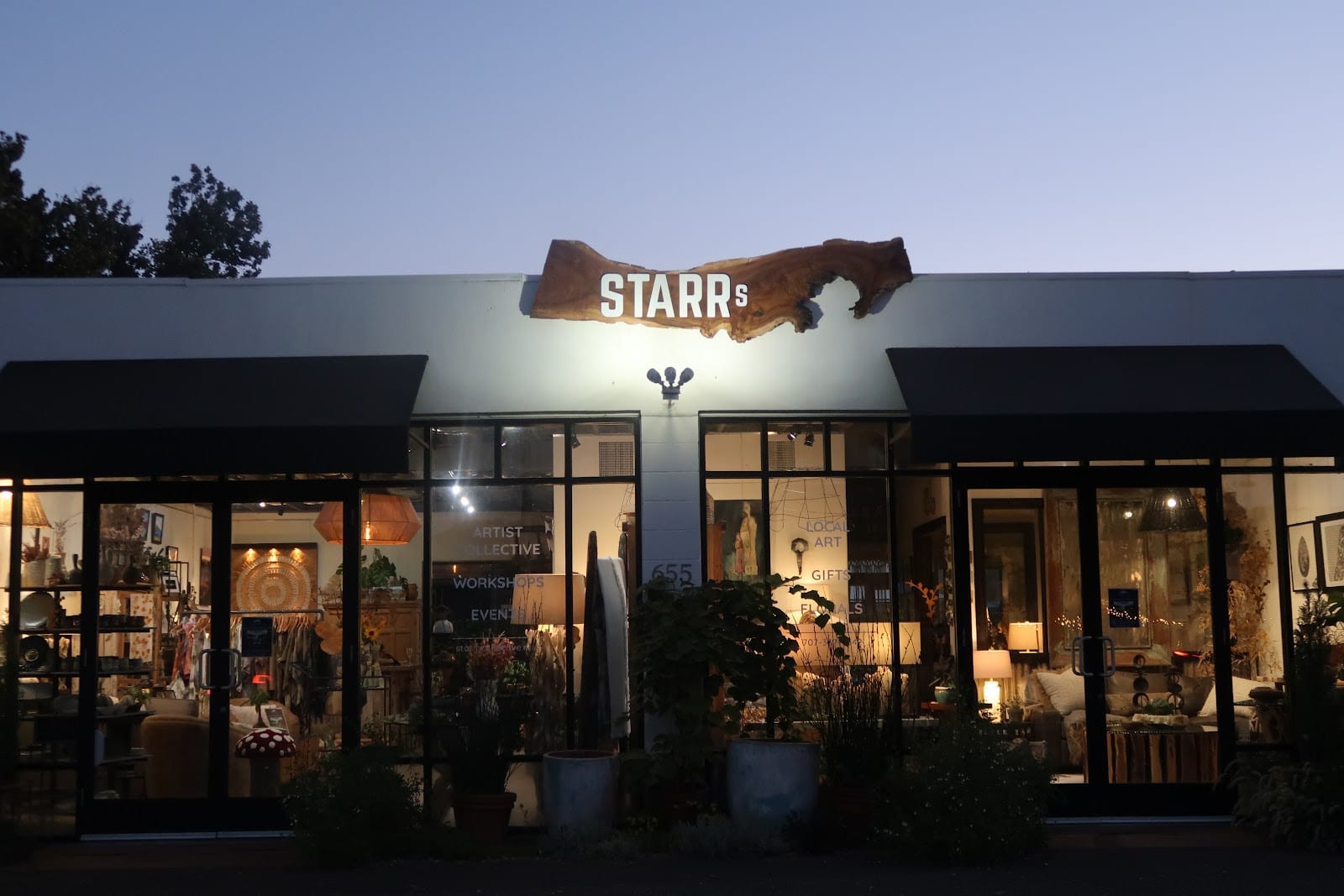 Starr's Collective