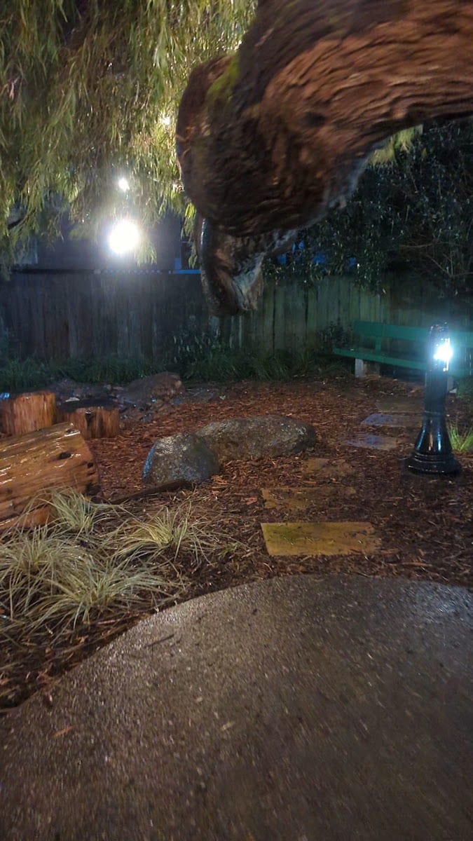 Muriel Leff Mini Park, photo 2