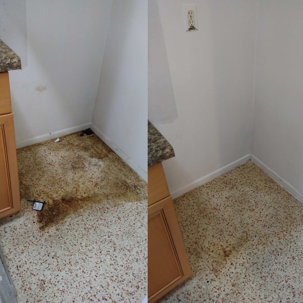 Chagoya's Cleaning Service LLC, photo 4