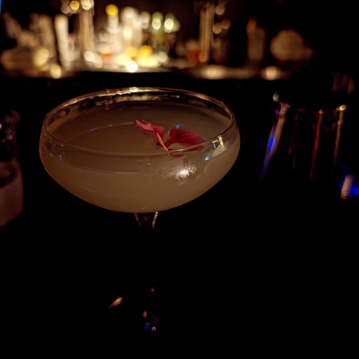 Black Rabbit, photo 3