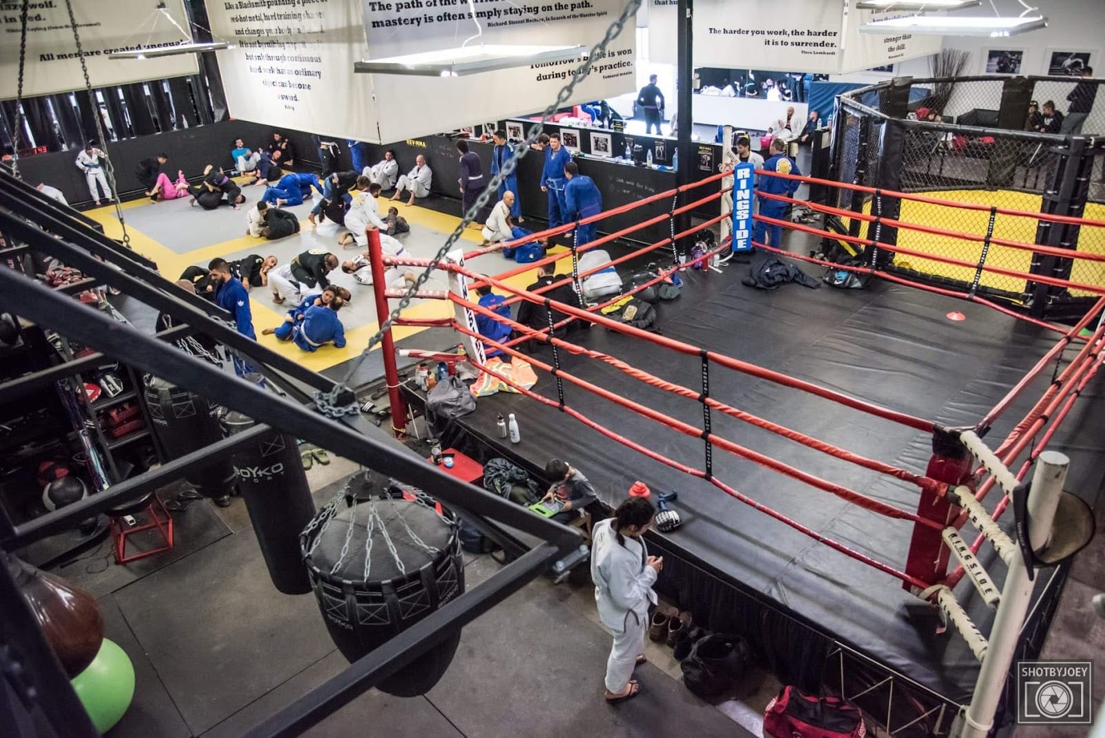 REVMMA—Revolution MMA Gym & Fitness Inc, photo 2