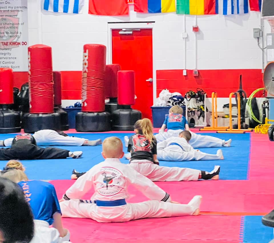 McMurray's Family Taekwondo, photo 2