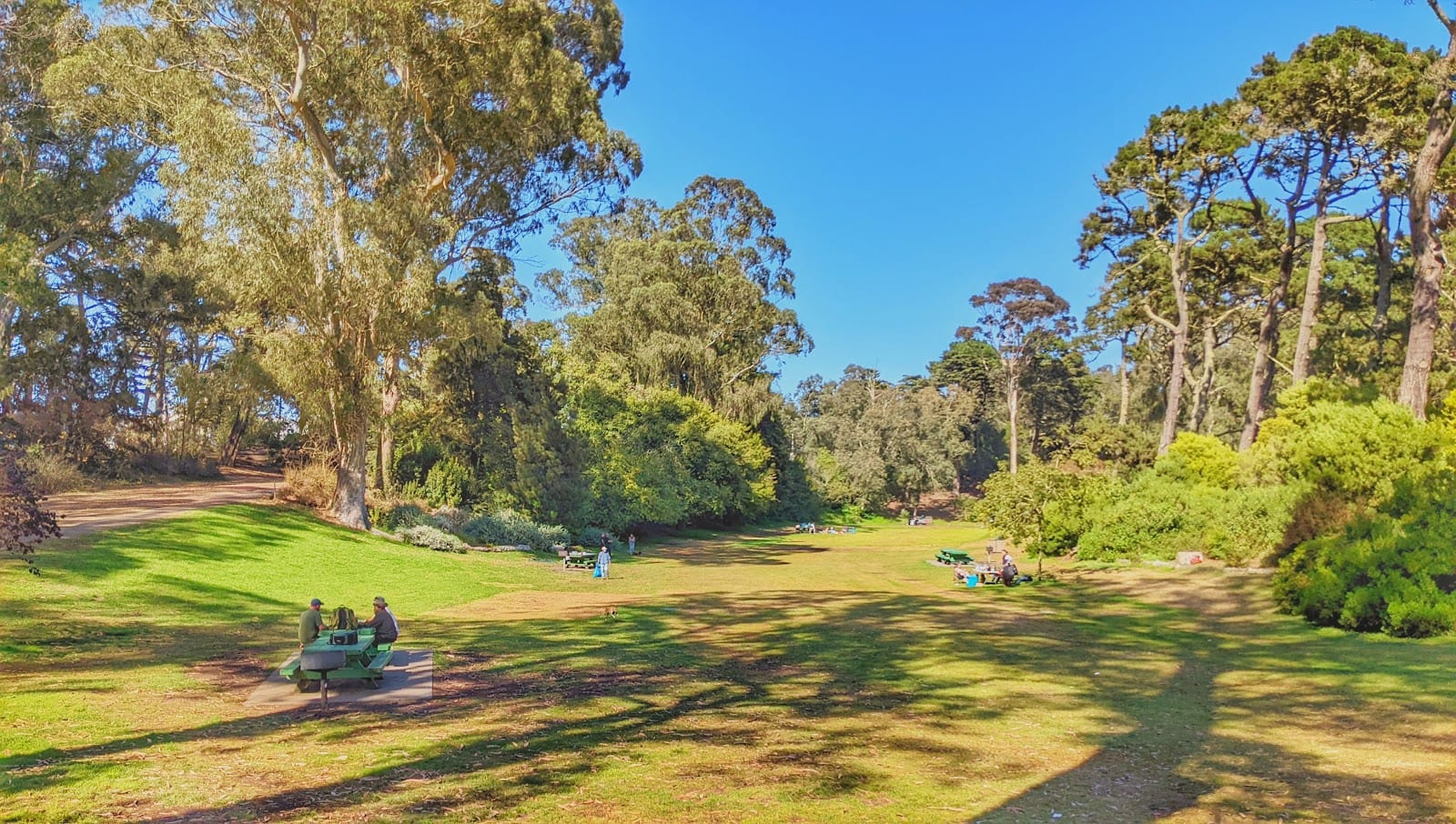 Marx Event Meadow