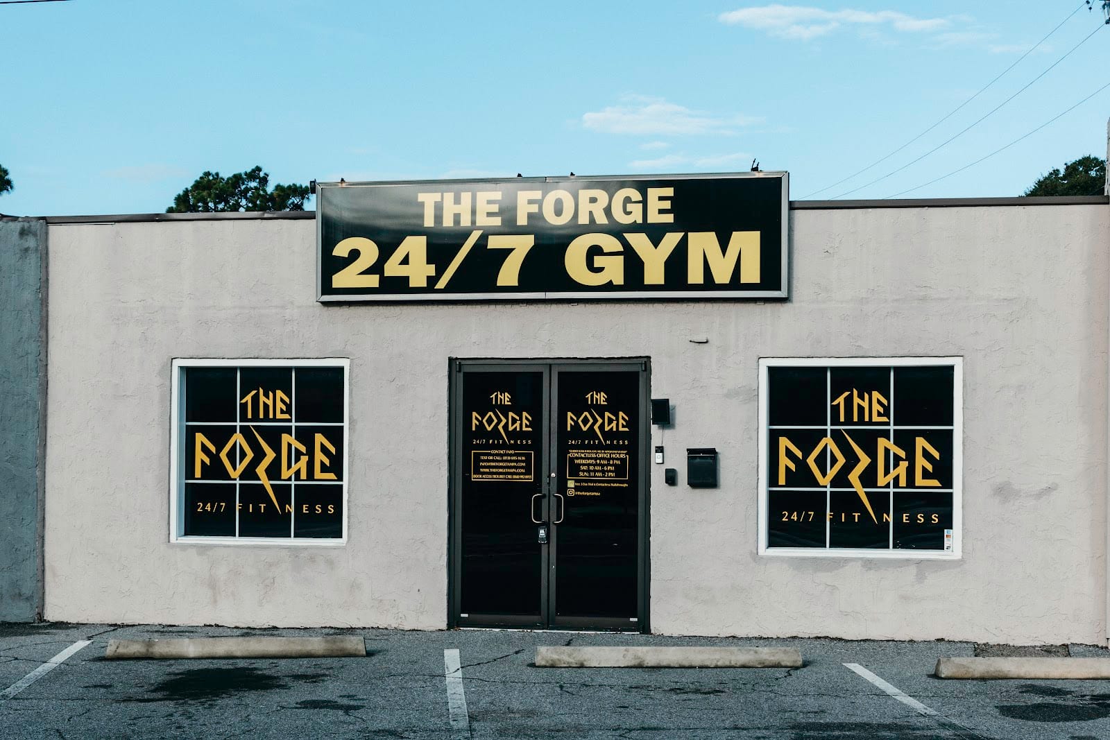 The Forge 24/7 Fitness, photo 2