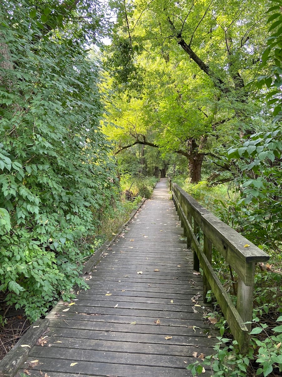 Alex Pike Park, photo 2
