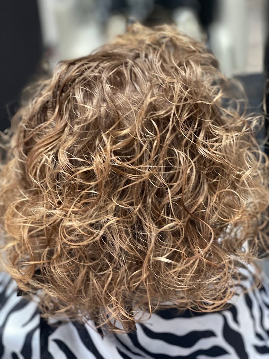 aPriA Salon, photo 3