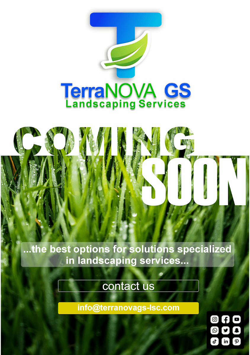 Evergreen Solutions Landscaping LLC