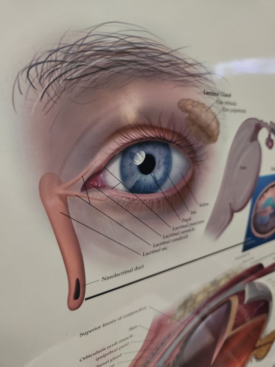 Strom Eye Center, photo 2