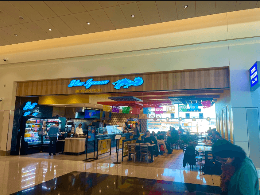 Blue Iguana, photo 2