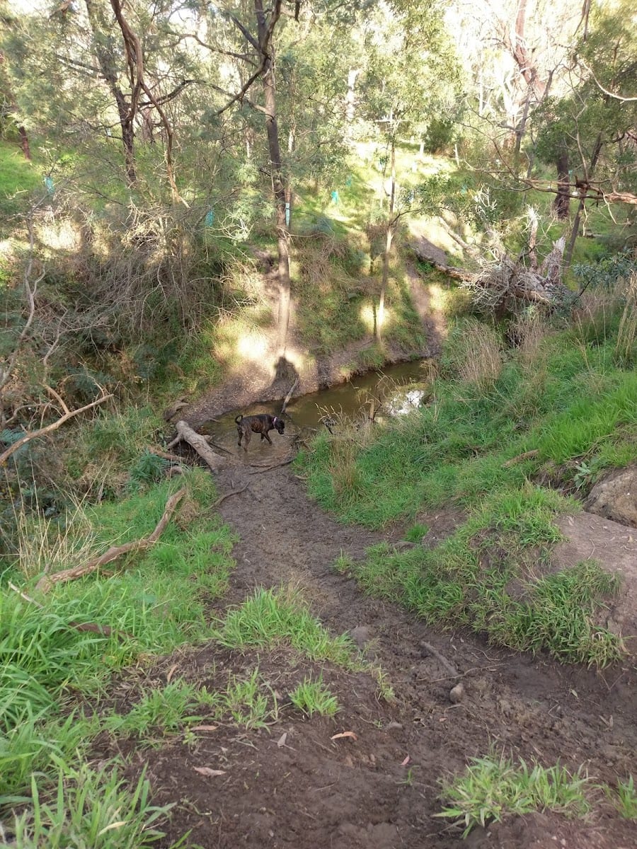 The Briars Community Forest, photo 3