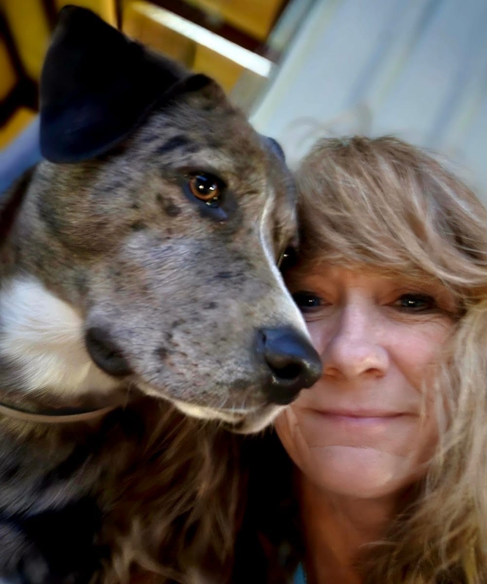 The Bark Park, photo 3