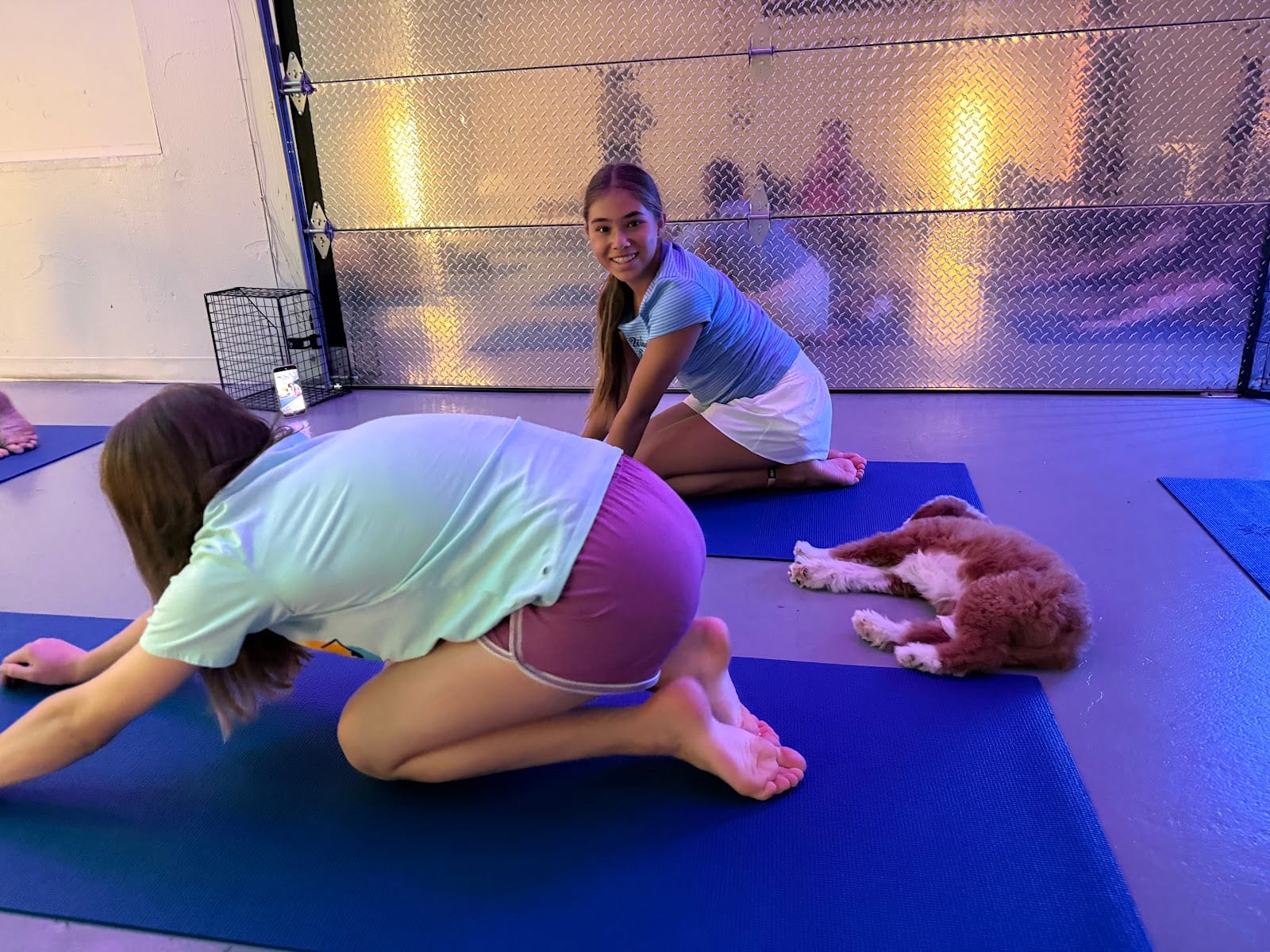 Puppy Yoga Scottsdale (Puppies Yoga)