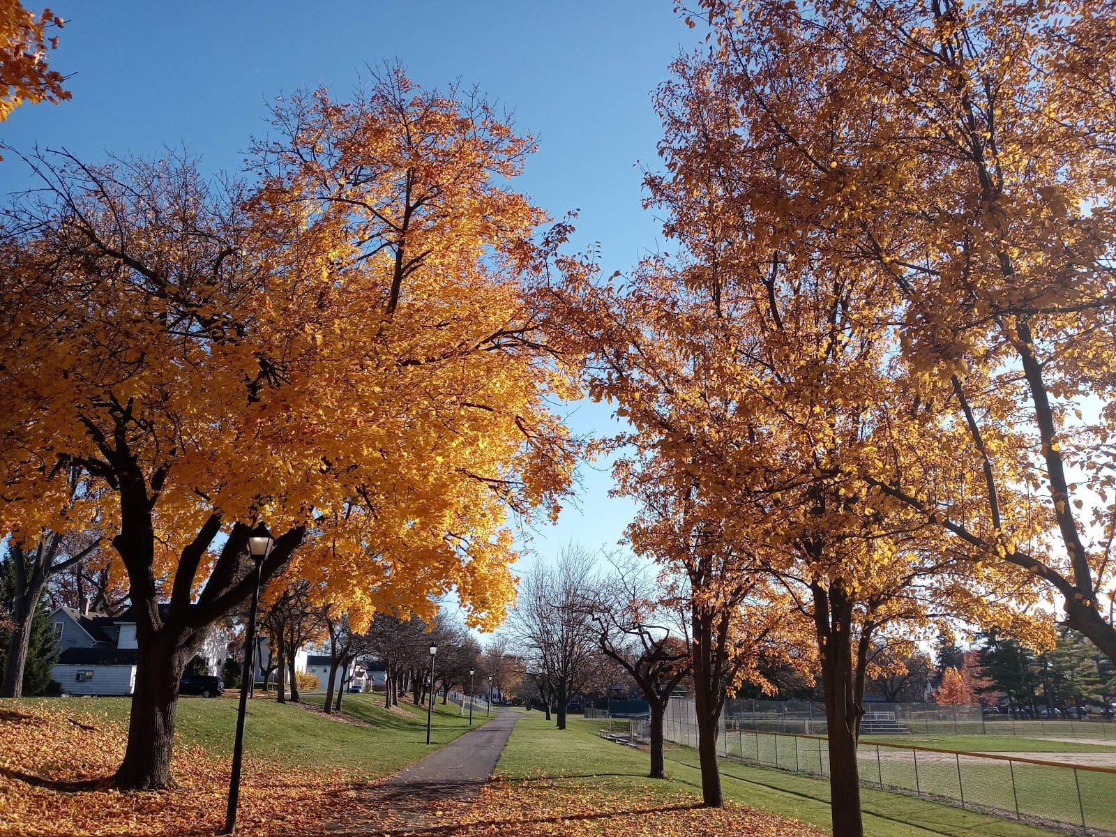 Hamilton Park