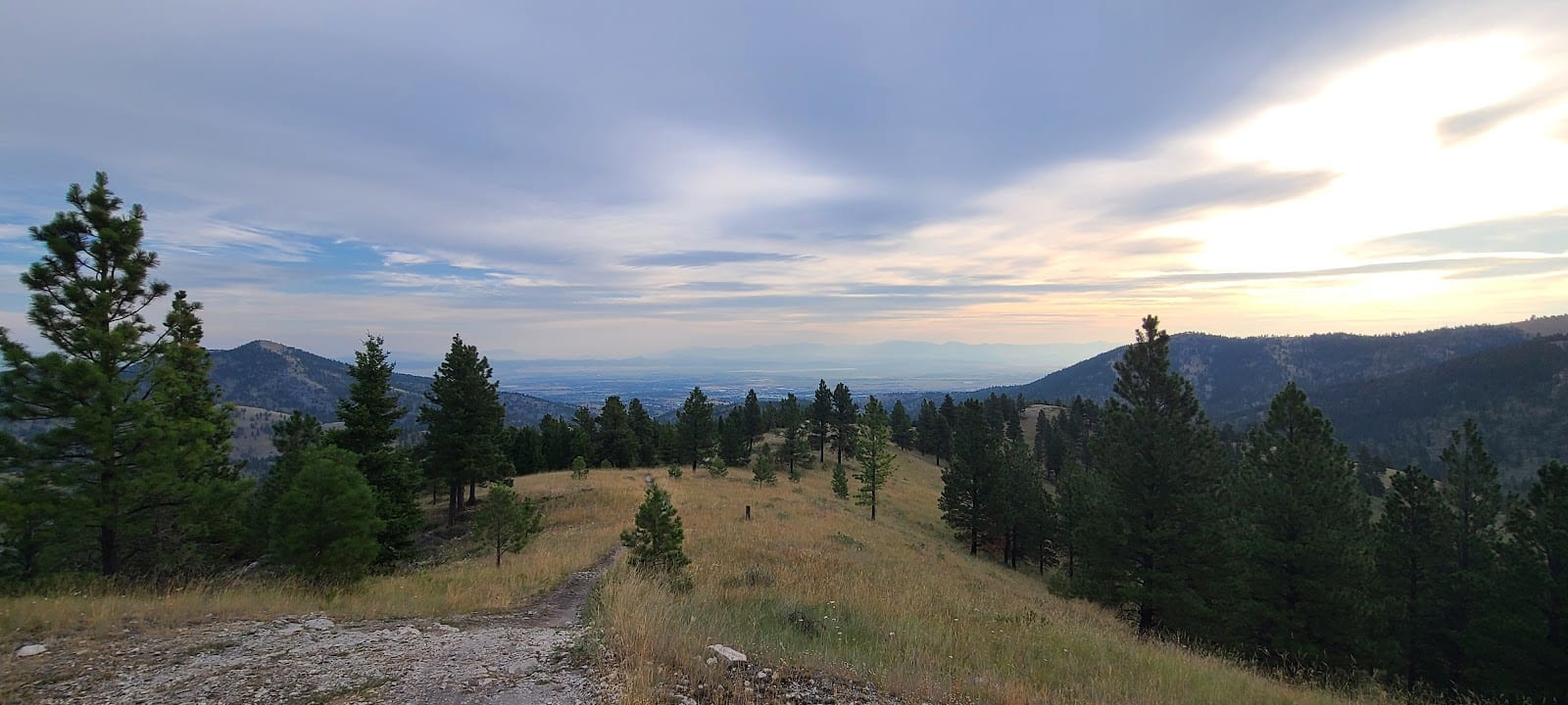 Rodney Street Trails
