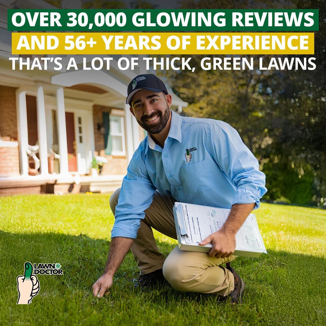 Lawn Doctor of Cache Valley